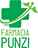 Farmacia Punzi Logo